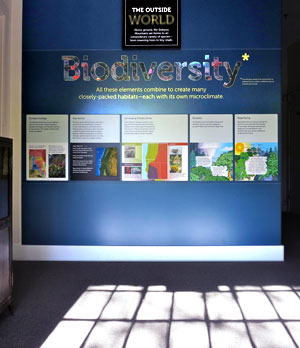 exhibit installation �copyrighted image